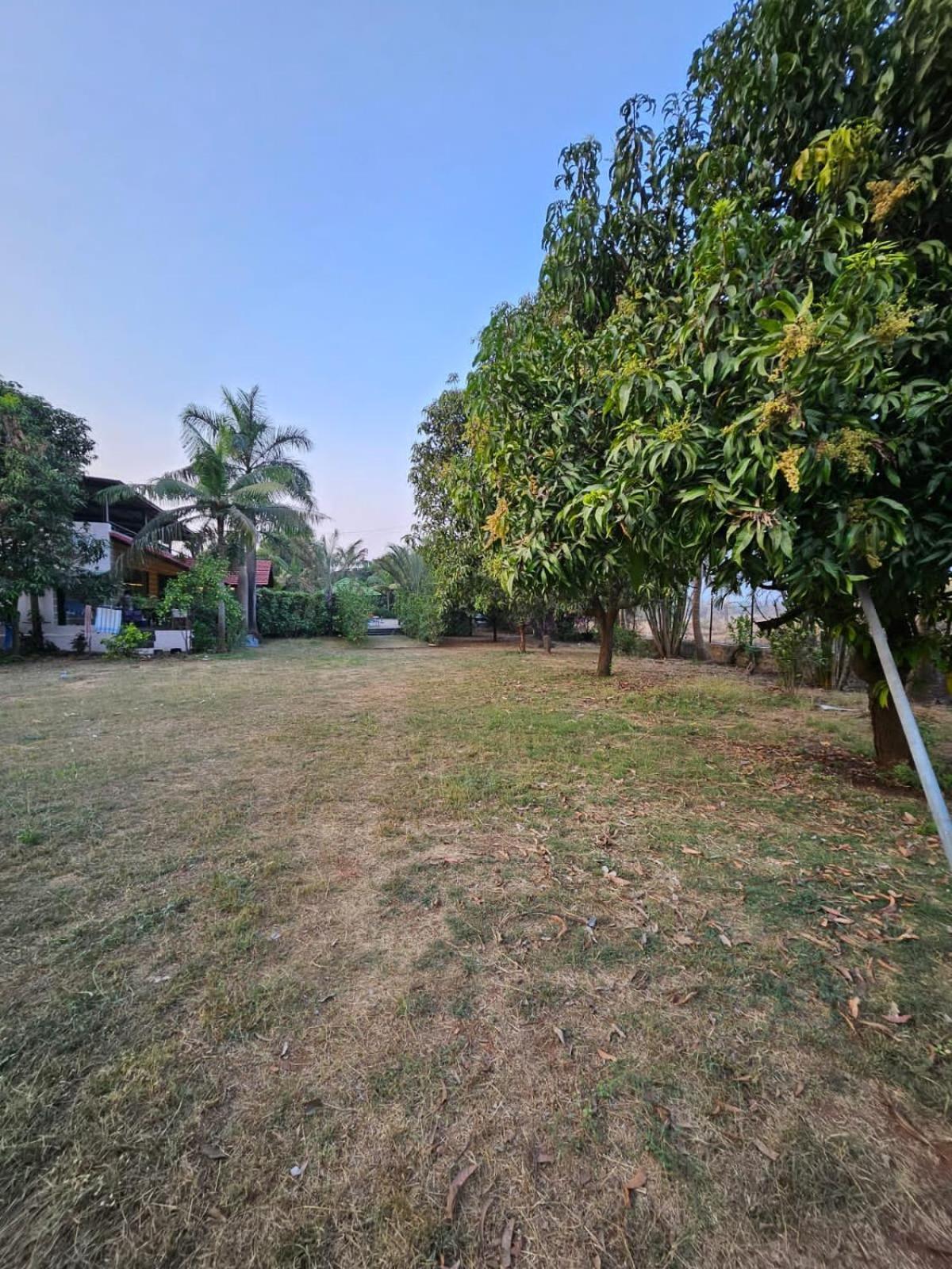 Patil'S Greenwoods Farmhouse Navi Mumbai Dış mekan fotoğraf